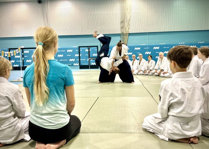 Aikido school Ando